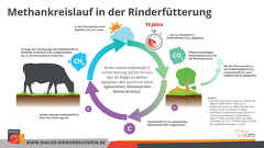 20210224 Methankreislauf Rinderfuetterung 1 20210224 Methankreislauf Rinderfuetterung 1