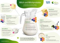 2024 04 KErn Milch Grafik 2048x1448 2024 04 KErn Milch Grafik 2048x1448