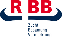 RBB Logo Neu RBB Logo Neu