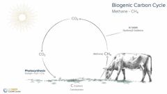 Biogenic Carbon Cycle Biogenic Carbon Cycle
