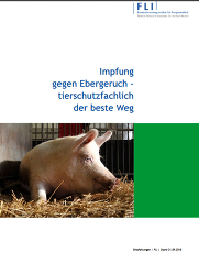 FLI Stellungnahme zur Impfung gegen Ebergeruch, Stand 19.09.2018 FLI Stellungnahme zur Impfung gegen Ebergeruch, Stand 19.09.2018