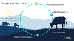 CLEAR Center University Of California Biogenic Cow Carbon Cycle CLEAR Center University Of California Biogenic Cow Carbon Cycle