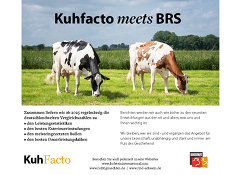 BRS und KuhFacto starten zum 1. Januar eine Medienpartnerschaft
© Kuhfacto BRS und KuhFacto starten zum 1. Januar eine Medienpartnerschaft
© Kuhfacto