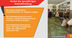 Anbindehaltung Anbindehaltung