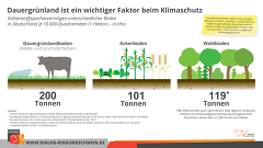 Kohlenstoff Speichervermögen Dauergrünland Kohlenstoff Speichervermögen Dauergrünland