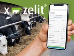 X-Zelit X-Zelit