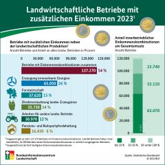BZL Infografik Einkommensalternativen BZL Infografik Einkommensalternativen