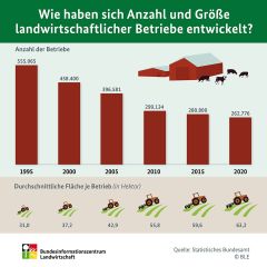 BZL-Infografik: Entwicklung der landwirtschaftlichen Betriebsstruktur BZL-Infografik: Entwicklung der landwirtschaftlichen Betriebsstruktur
