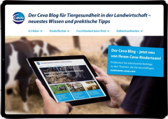CEVA Rinderblog CEVA Rinderblog