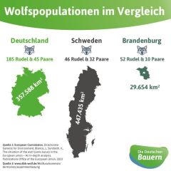 (c)DBV: Wolfsrudel im Ländervergleich (c)DBV: Wolfsrudel im Ländervergleich