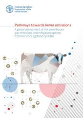 Pathways towards lower emissions: A global assessment of the greenhouse gas emissions and mitigation options from livestock agrifood systems Pathways towards lower emissions: A global assessment of the greenhouse gas emissions and mitigation options from livestock agrifood systems