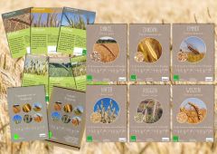 (c)ima: Saatpaket Brotgetreide (c)ima: Saatpaket Brotgetreide
