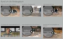 Mediathek Tierwohl - Fokus Tierwohl Mediathek Tierwohl - Fokus Tierwohl