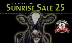 SundriseSale 2020 Online SundriseSale 2020 Online