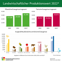 Quelle BLE Landwirtschaftlicher Produktionswert 2022 Quelle BLE Landwirtschaftlicher Produktionswert 2022