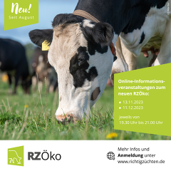 Der neue RZöko wird vorgestellt: Onlineseminar