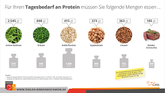 BRS Grafik So Decken Sie Ihren Proteinbedarf BRS Grafik So Decken Sie Ihren Proteinbedarf