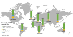 2021 FAO Food Suply 2021 FAO Food Suply