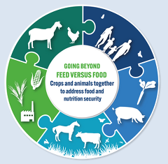 ATF Sustainable Agriculture Livestock ATF Sustainable Agriculture Livestock