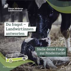 (C)Forum: Rinderzucht entdecken (C)Forum: Rinderzucht entdecken