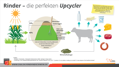 Upcycling Upcycling