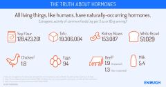 The Truth About Hormones The Truth About Hormones