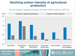 (c) FAO/OECD: Declining carbon intensity of agriculture production (c) FAO/OECD: Declining carbon intensity of agriculture production
