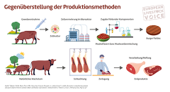 European Livestock: Laborfleisch Produktionsmethoden European Livestock: Laborfleisch Produktionsmethoden