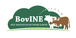 BoVine - Beef Innovation Network Europe