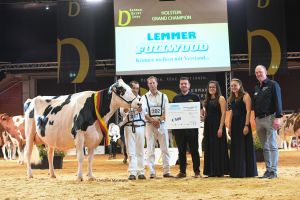 Grand Champion Holstein Elina von Wilcor Holsteins aus Warmsen
© Christine Massfeller