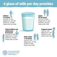 FAO Bedeutung Milch FAO Bedeutung Milch